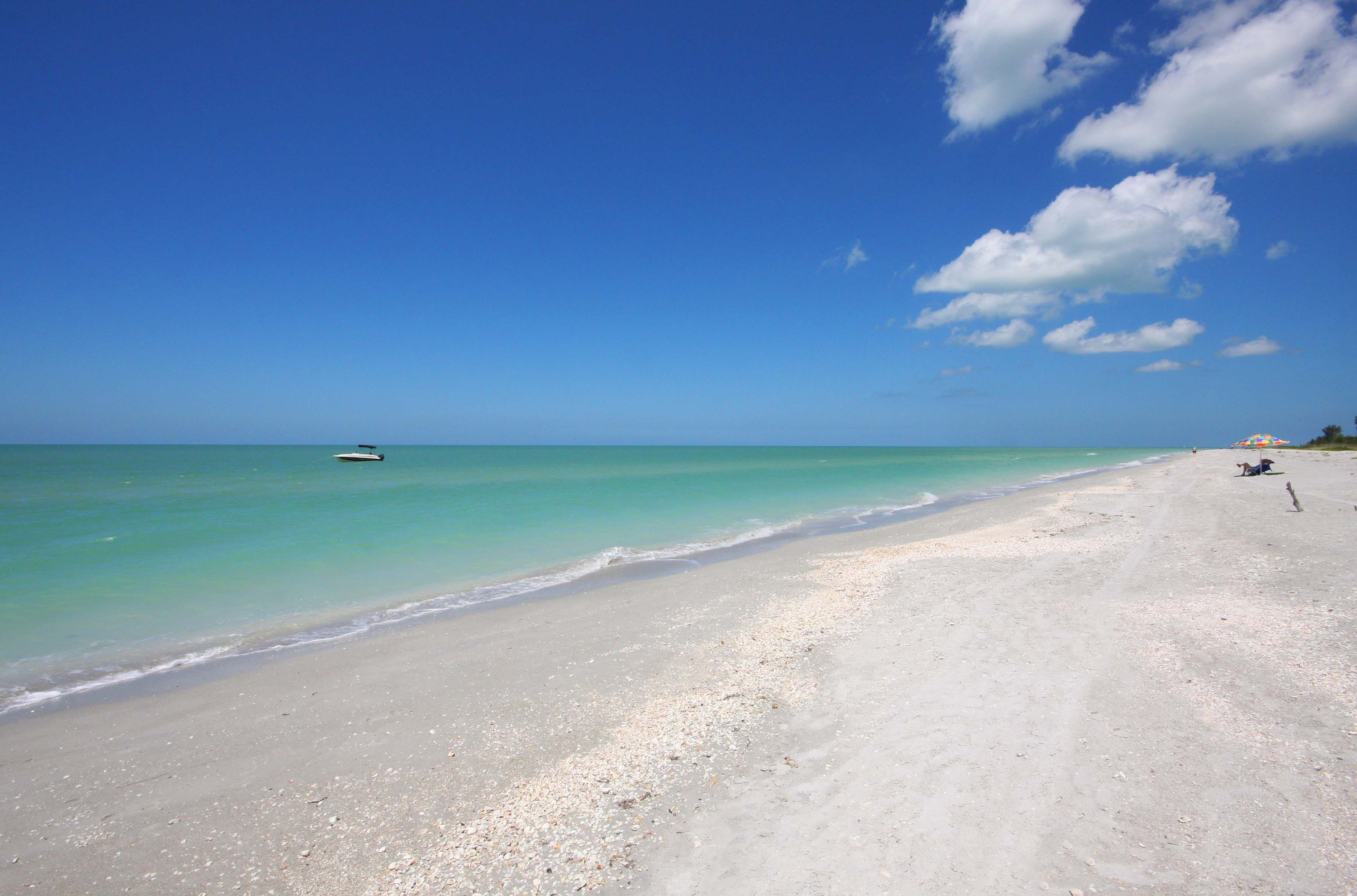 Gulf Coast Florida USA